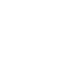Onefancam