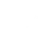 Onefancam